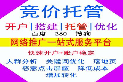 托管SEM竞价全解析：从入门到精通的实战案例